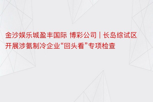 金沙娱乐城盈丰国际 博彩公司 | 长岛综试区开展涉氨制冷企业“回头看”专项检查