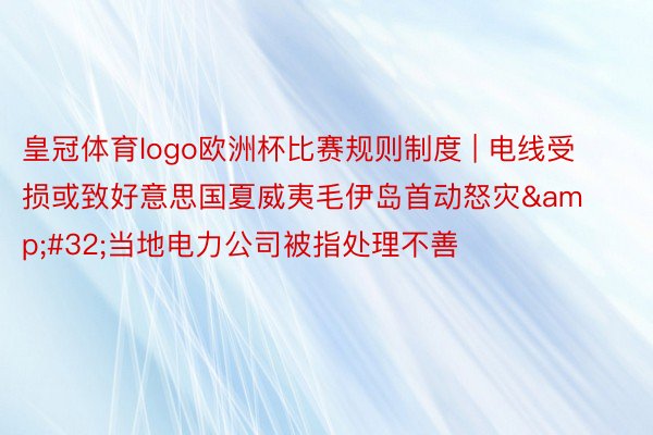 皇冠体育logo欧洲杯比赛规则制度 | 电线受损或致好意思国夏威夷毛伊岛首动怒灾&#32;当地电力公司被指处理不善